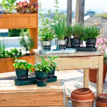 Lidl tiene un set de mini macetas metálicas para cultivar hierbas aromáticas en el balcón o junto a la ventana