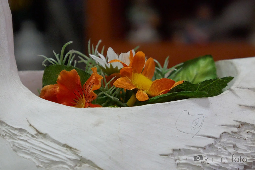 Galería de la Panasonic Lumix TZ100 (13 fotos)