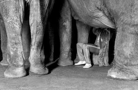 'Amigo circo', la certera visión del mundo circense del fotógrafo Florencio Sánchez