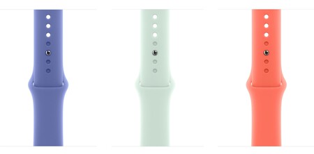 Correas Apple Watch