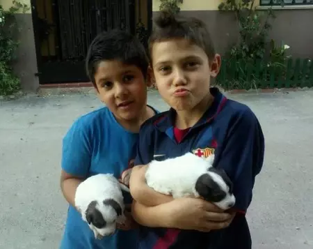 Los niños menores de 7 años deberán tener entrada para entrar al Camp Nou 