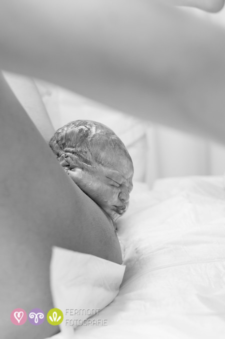 015 Head Born Fermont Fotografie