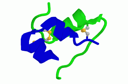 Insulina