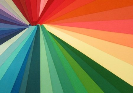 Alucinante viaje biológico para comprobar que el color no existe (I)