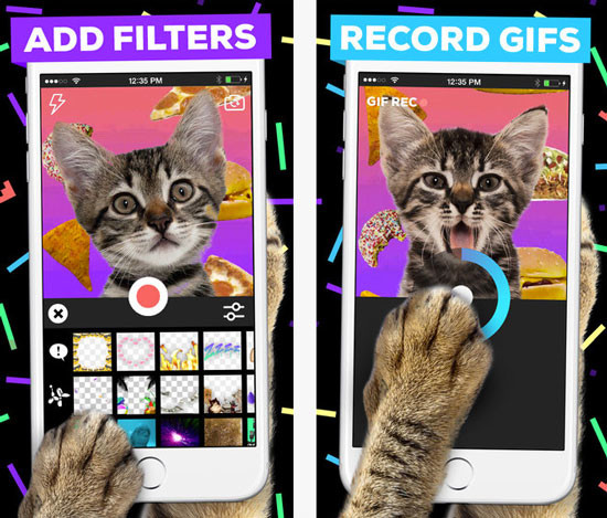 Giphycam 2