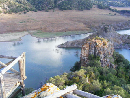 Algar