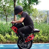Esta bizarrada es un híbrido entre monociclo y moto eléctrica, alcanza los 48 km/h y cuesta 1.600 euros