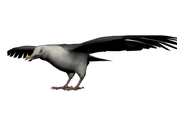Gaviota