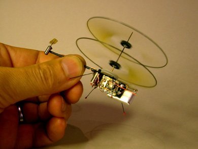 prox_flyer_3.jpg