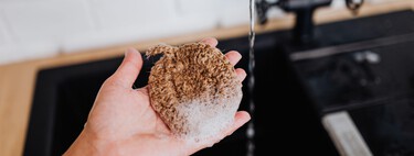 ¿Cada cuánto tiempo hay que cambiar los estropajos de cocina?: seis opciones ecológicas desde dos euros