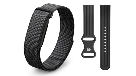 Google Fitbit Air