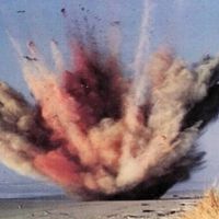 O dia em que uma cidadezinha decidiu explodir uma baleia e fez chover entranhas na população 