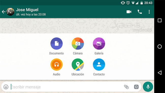 Whatsapp Compartir Contactos