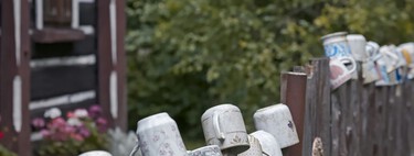 La verdad detrás de las tazas viejas en las vallas de los jardines: aporta vitalidad y ayuda a los pájaros 