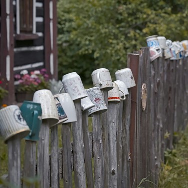 La verdad detrás de las tazas viejas en las vallas de los jardines: aporta vitalidad y ayuda a los pájaros 