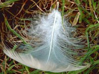 Negocios simples, a veces los mejores