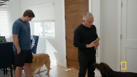 Better Human Better Dog