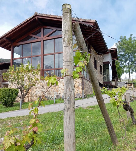 Bodega Astobiza En Okondo