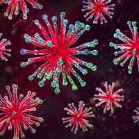 Um misterioso vírus ancestral revela segredos que podem ajudar a combater superbactérias 