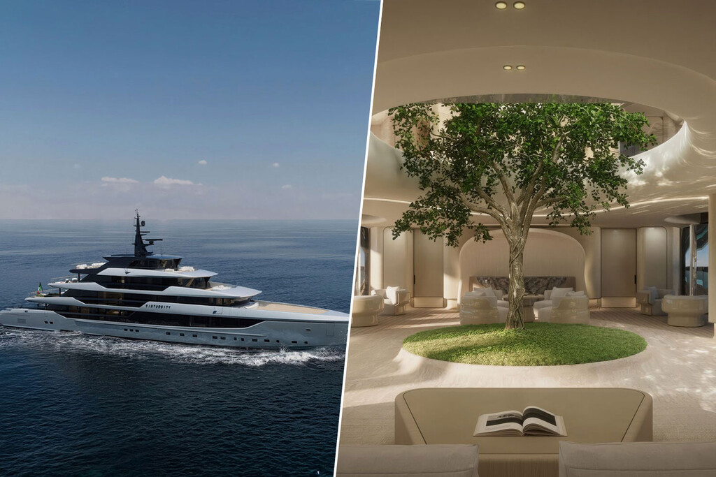 El último capricho de los millonarios es construir un superyate de lujo en torno a un árbol vivo