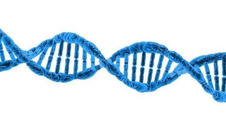 Huella genética y crímenes resueltos