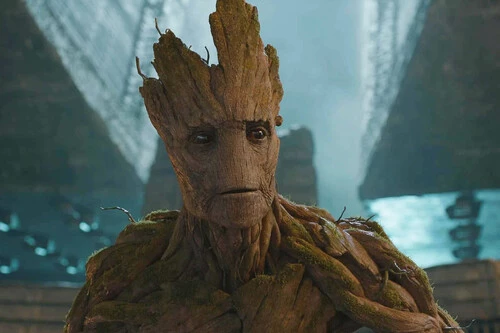 Groot