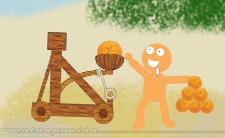 fauna en ruta: imprevistos en la carretera