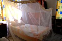 Consejos para evitar las picaduras del mosquito de la malaria