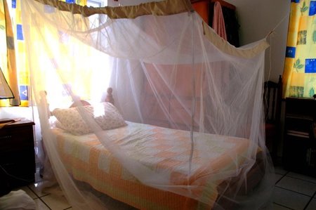 Consejos para evitar las picaduras del mosquito de la malaria