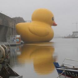 Un patito de hule gigante sobre el río Loire
