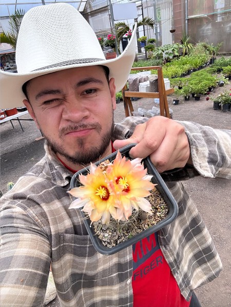 Que Tal Esta Belleza De Flor Lista Para La Pasarela Jardineria Huertocitadino Cactus