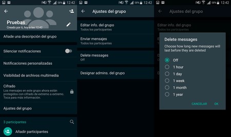 Borrado Mensajes Whatsapp 