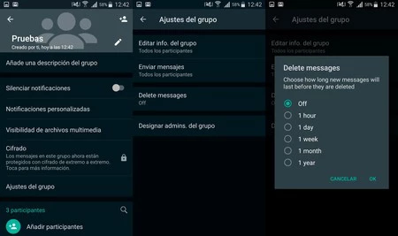 グループチャットでメッセージが自己破壊される