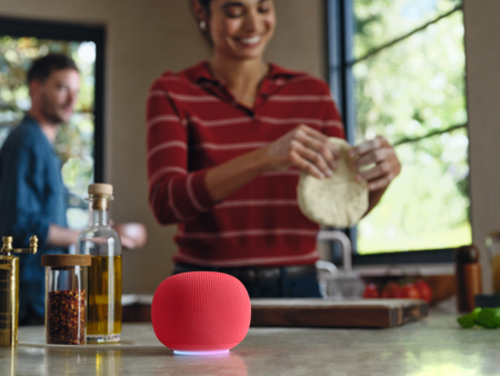 Google Home Speaker With Light Ring Berry