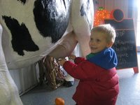 Los lácteos en la alimentación infantil: la leche de vaca