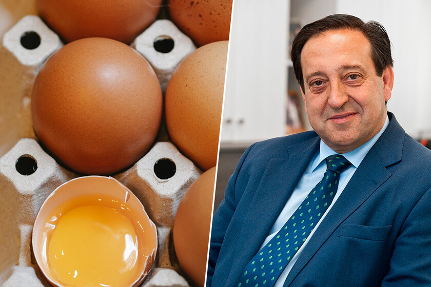Barato Huevos
