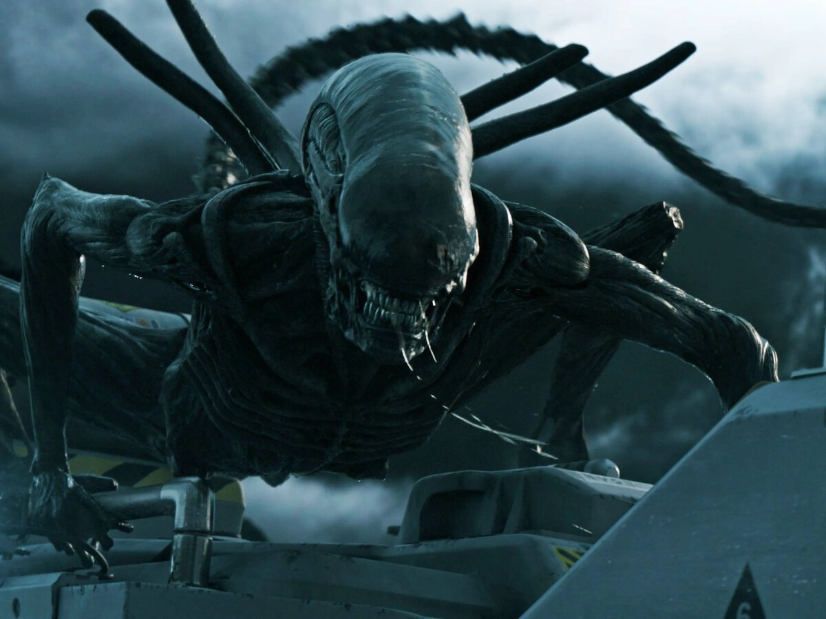 UNA CRIATURA LETAL! 👽💥 #Alien: Romulus está a unos días de estrenarse y  aquí te compartimos todos los tipos de #Xenomorfo (#Xenomorph) y sus  transformaciones que han aterrorizado al cine por más, image size:1200x900