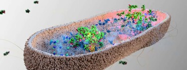 Estamos rodeados de "químicos eternos" que sólo podíamos destruir a cañonazos. Resulta que tenemos un aliado en el intestino