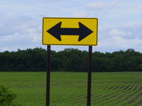 Capacidad para gestionar situaciones ambiguas 