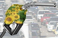 Los daños colaterales de los biocombustibles
