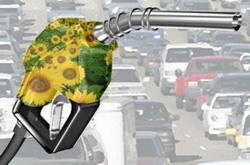 Los daños colaterales de los biocombustibles