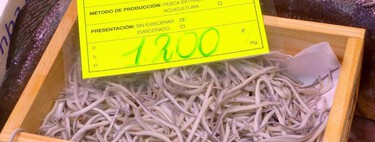 La angula se seguirá pescando en Asturias, pese a estar en peligro de extinción: “Protegerla no resolvería el problema” 