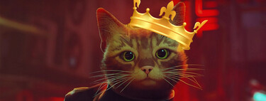 Stray se corona en Steam con una cifra de jugadores espectacular para un lanzamiento de Annapurna Interactive 