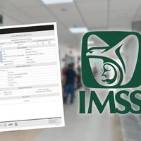 IMSS Digital: cómo obtener la constancia de vigencia de derechos y para qué sirve 