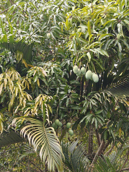 Crédito de imagem: Xataka Brasil