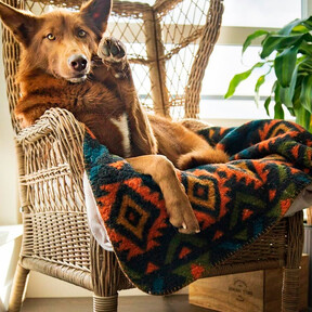 Ikea recupera el sillón que tenían nuestras abuelas: vuelve a estar de moda y es ideal en terrazas, jardines o el salón