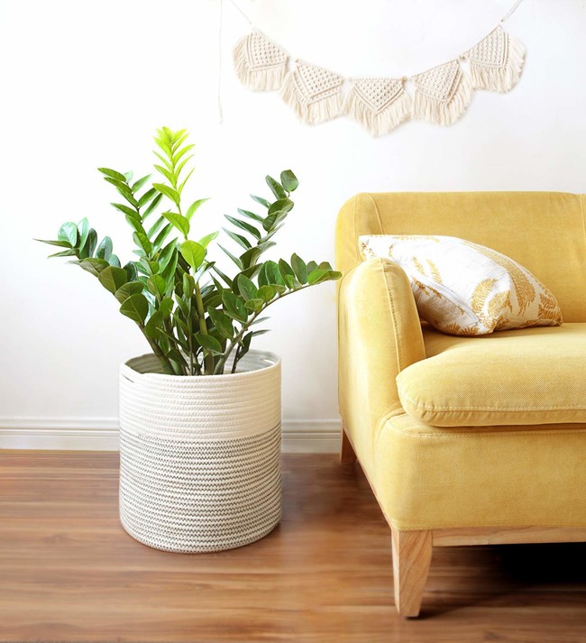 17 macetas ideales para decorar cualquier rincón de tu casa