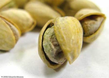 Pistachos, un potenciador muscular