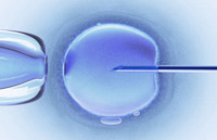 ¿Provocan más defectos congénitos las técnicas de reproducción asistida?