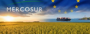 Bilhões em jogo: O que o agro brasileiro realmente ganha (e perde) com o acordo Mercosul-UE 